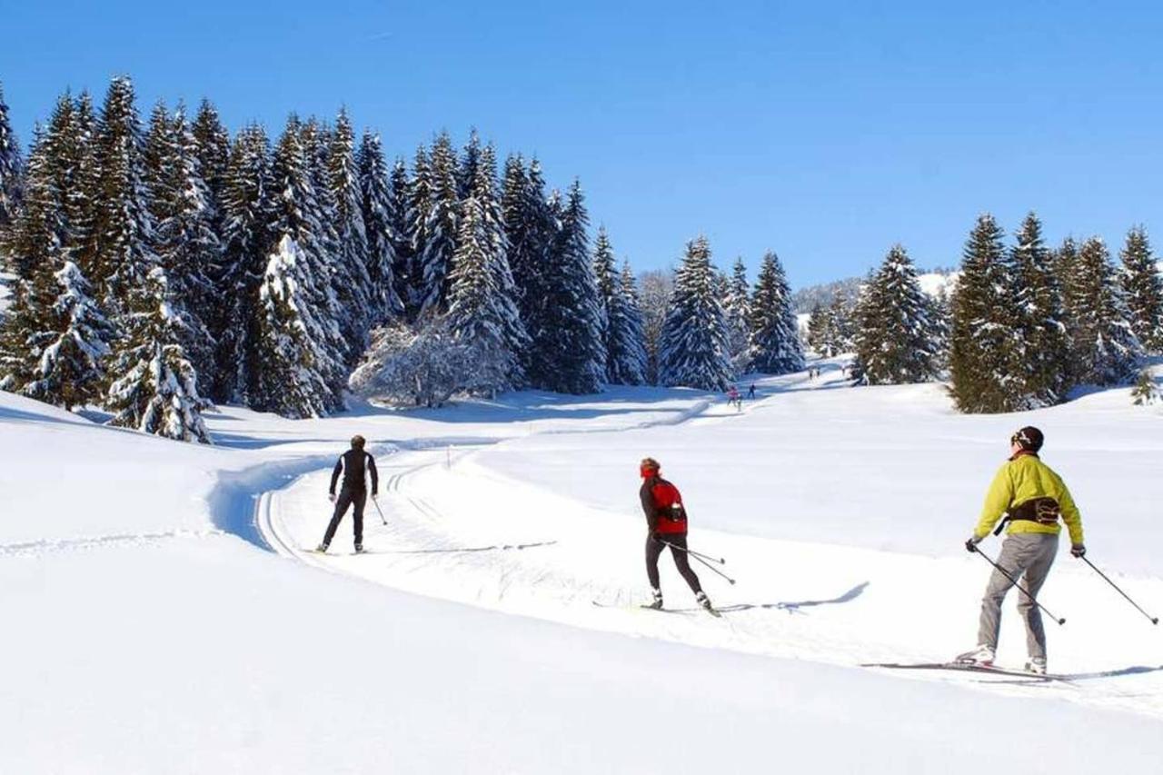 Le 211,Ski Et Randonnee, Lave Linge ,Parking Bernex Exterior photo