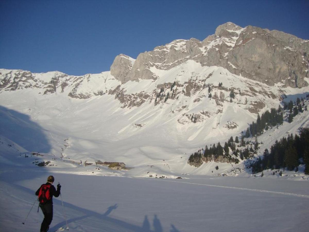 Le 211,Ski Et Randonnee, Lave Linge ,Parking Bernex Exterior photo